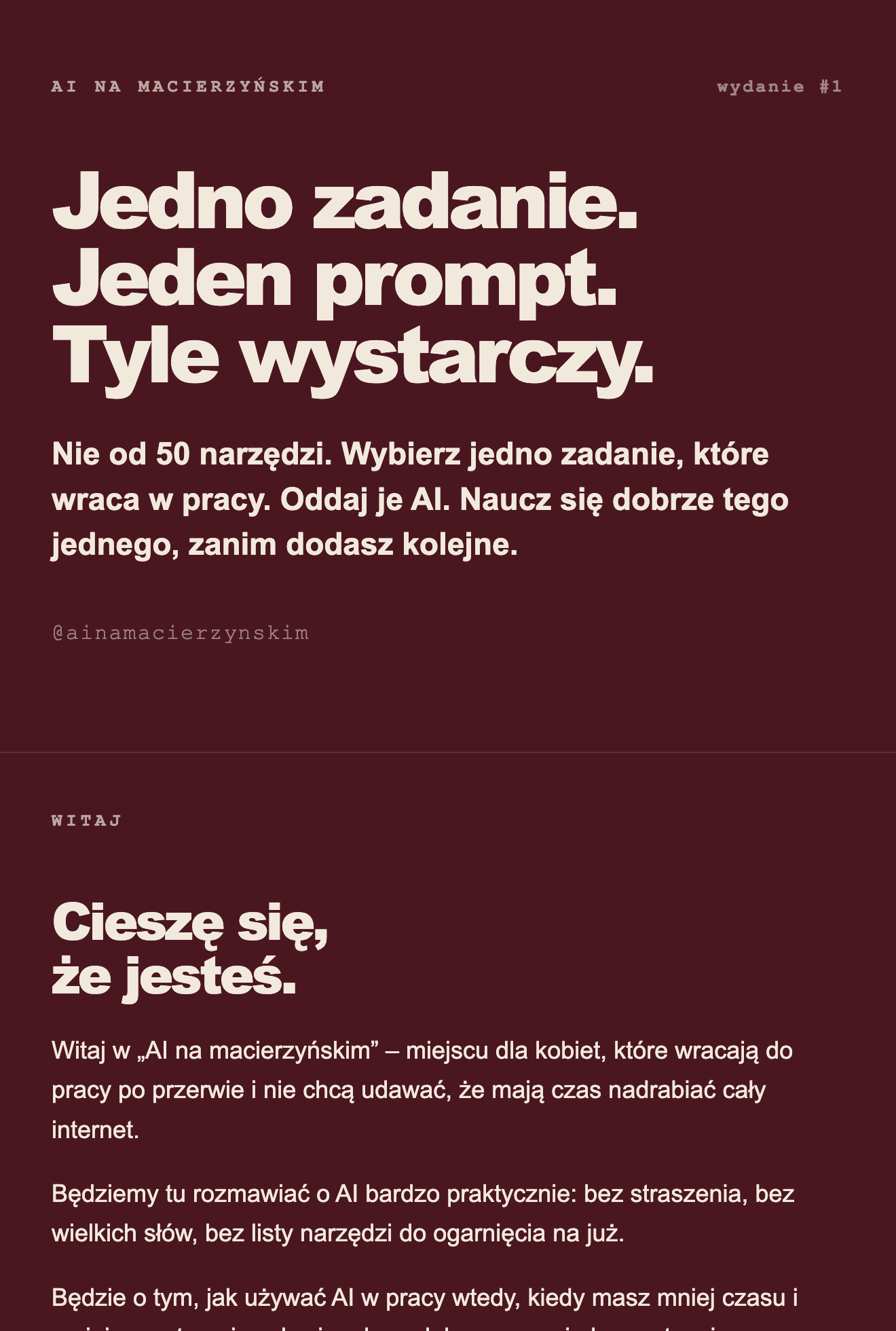 Podgląd newslettera „AI na macierzyńskim